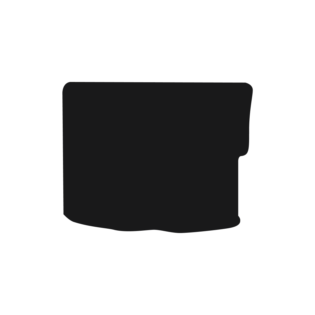 Citroen Xsara Picasso (2000-2010) Boot Mat Mat Shape