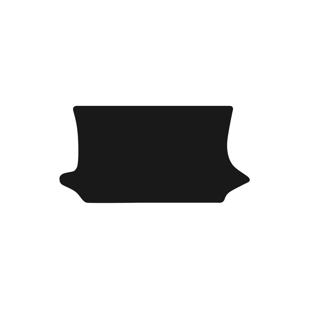 Ford Fiesta MK6 (2002-2008) Boot Mat Mat Shape