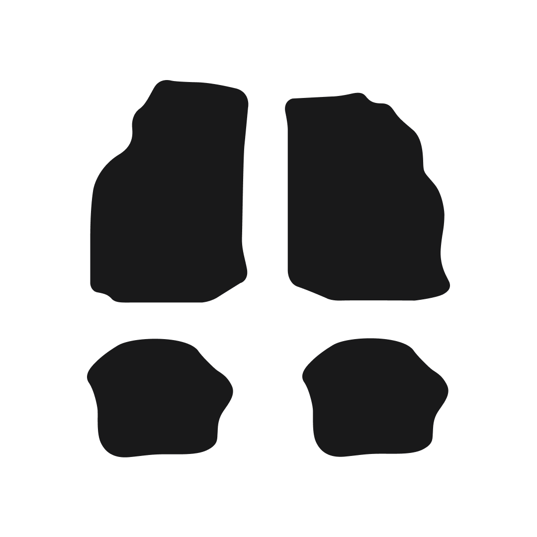 Ford Puma (1997-2002) Car Mats Mat Shape