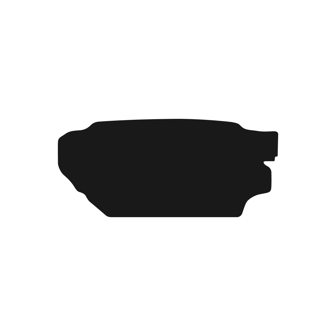 Nissan Skyline (1995-2022) Boot Mat Mat Shape